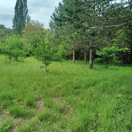 Lägenhet Gite De La Font D'arlane